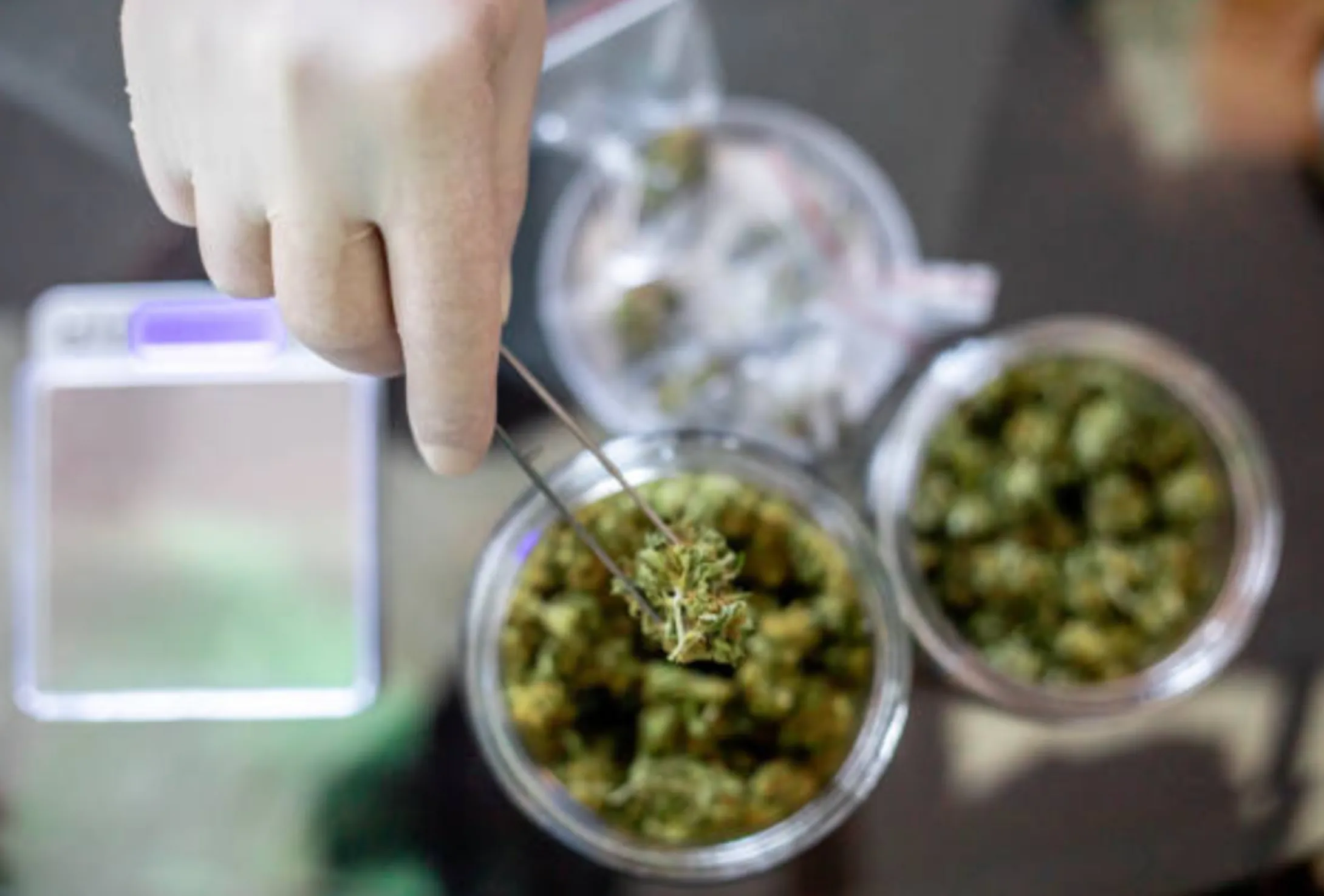 Cannabis Testing labs